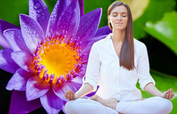 Our Meditation Center
